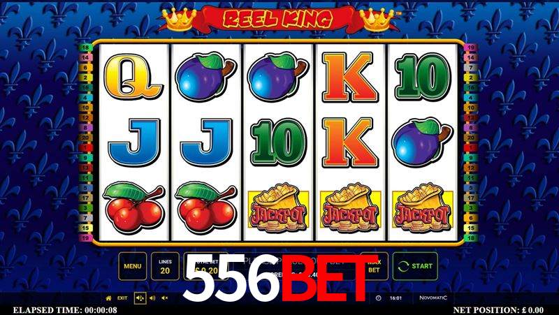 Statistics 556bet